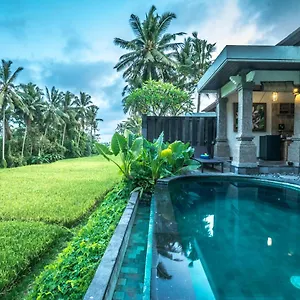 https://villa-kirani-ubud.ubudhotelsnow.com